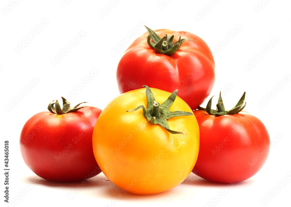 red and yellow tomatoes isolated on white red and yellow tomatoes isolated on white