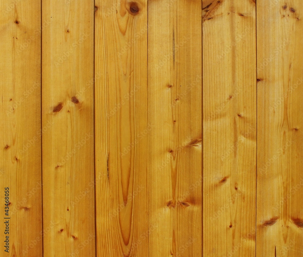 holz holz