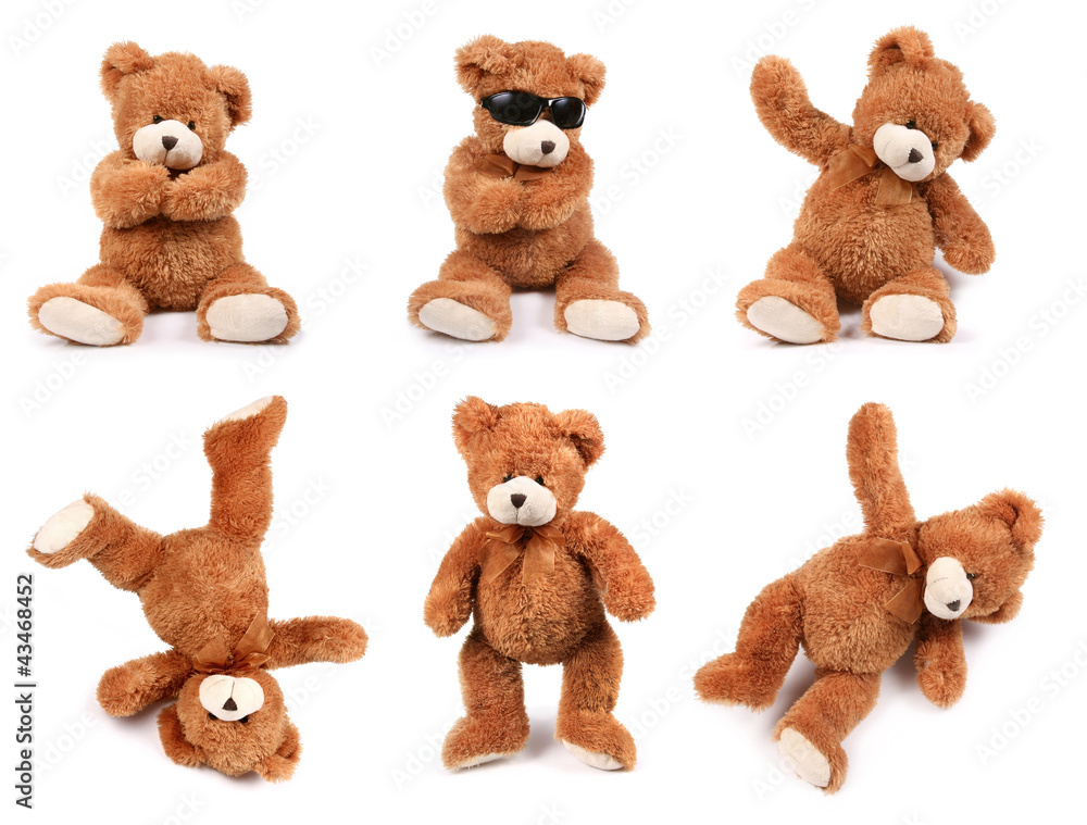 Teddy bears in different poses on white background - obrazy, fototapety, plakaty 