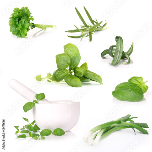 Fresh herbs collection over white