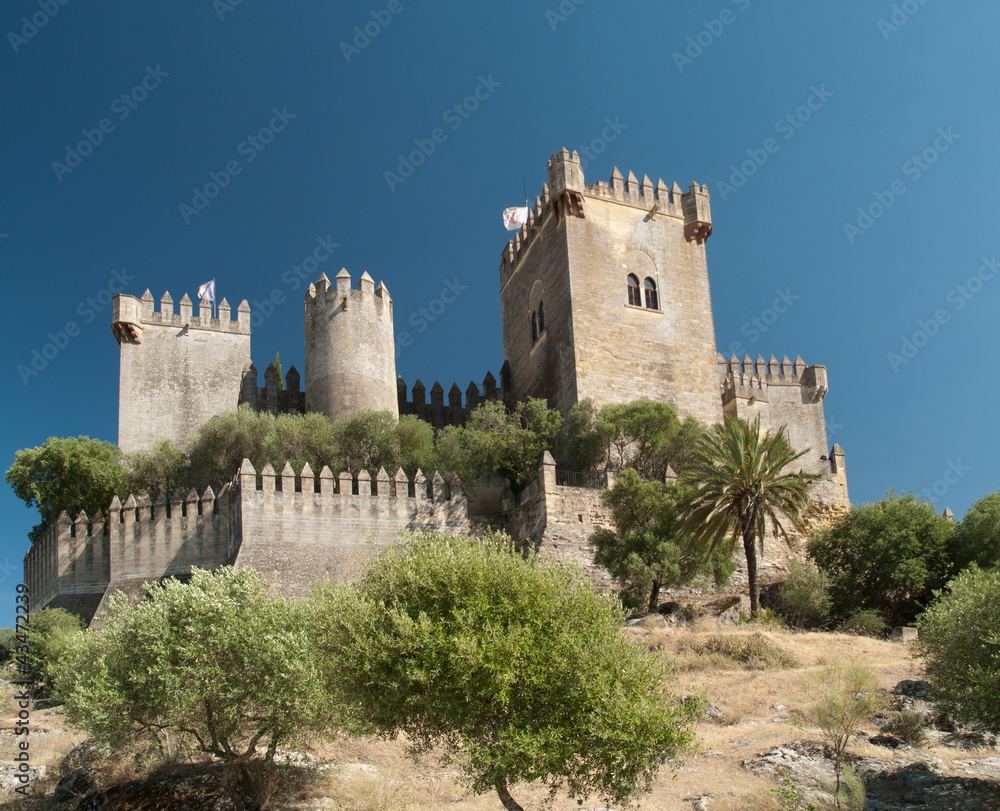 castle of Almodovar del Rio