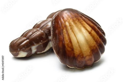 A chocolate periwinkle and mollusk