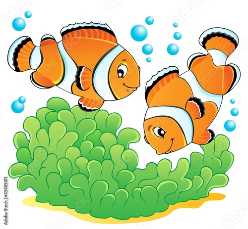 Clown fish theme image 1