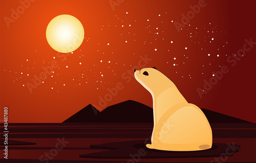 polar bear looking at the sunset