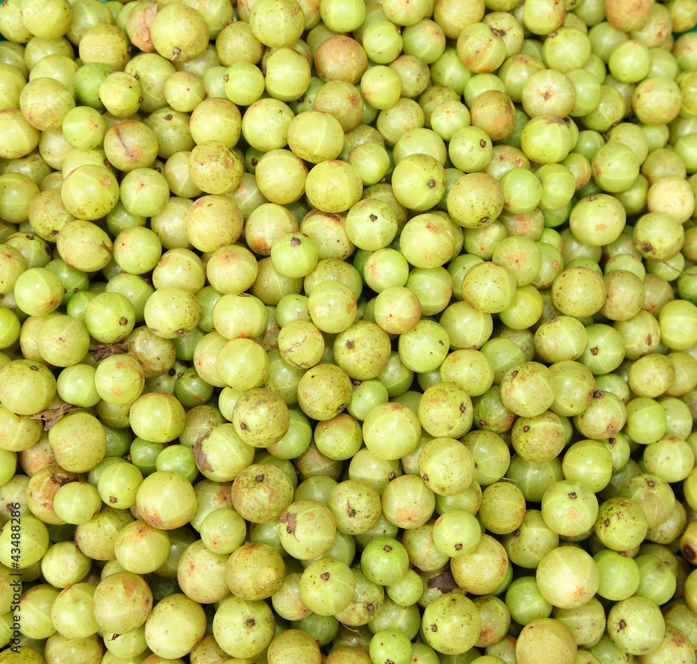 Indian gooseberry for sale in Ranong, Thailand Indian gooseberry for sale in Ranong, Thailand