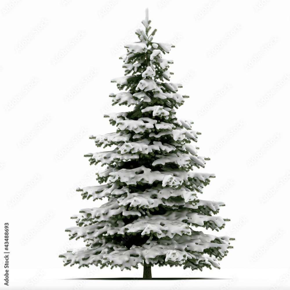 Sapin de Noël recouvert de neige sur fond blanc - rendu 3D Sapin de Noël recouvert de neige sur fond blanc - rendu 3D