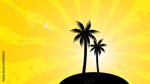 Background sobre o verão - palmeiras e sol photo