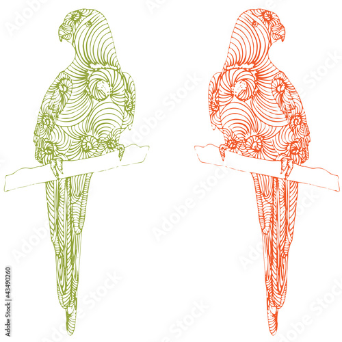 two parrot illustration