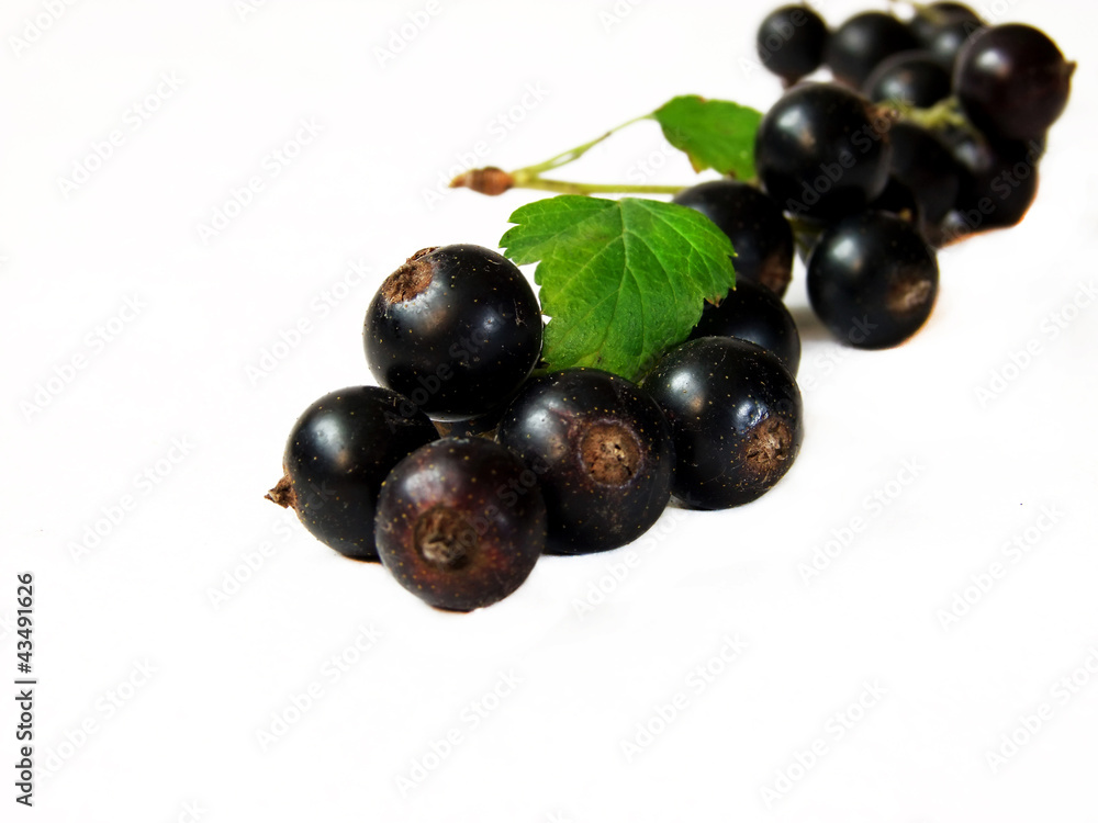 Fototapeta premium Berries on the white background