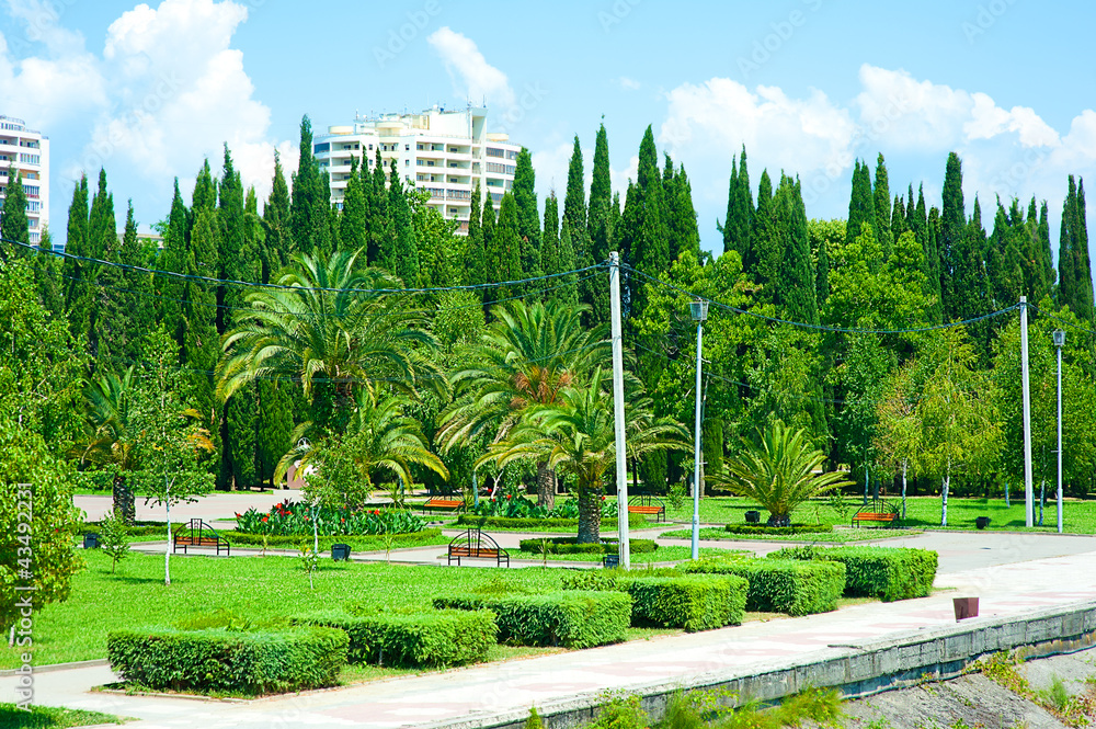 Fototapeta premium Beautiful tropical garden