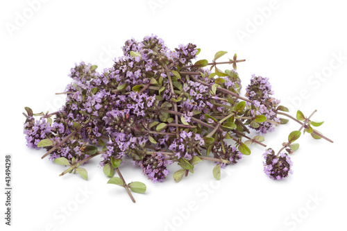 Heap of fresh oregano thyme flowers