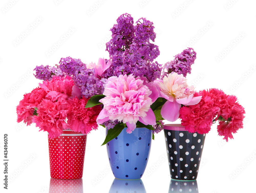 Obraz premium beautiful spring flowers in cups isolated on white