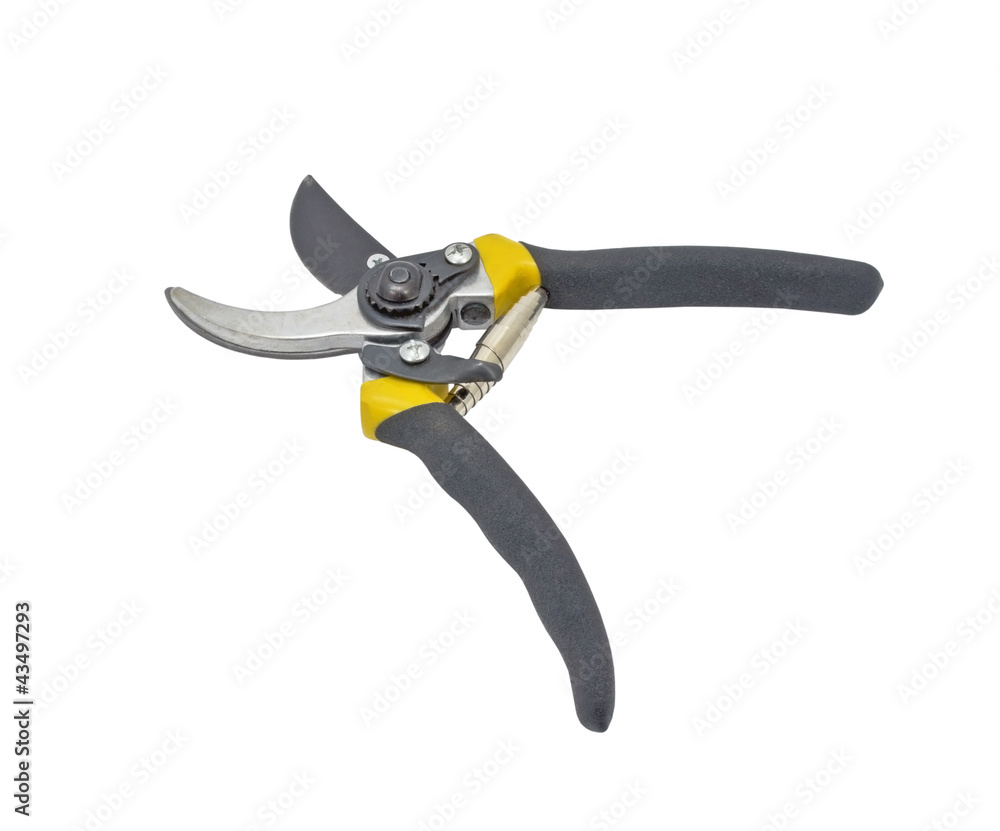Obraz premium garden secateurs