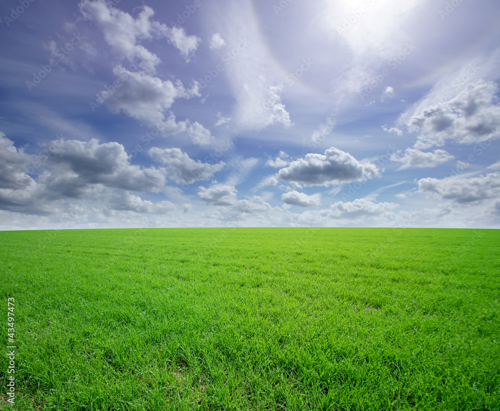 A beautiful view of a green field and the blue sky with clouds