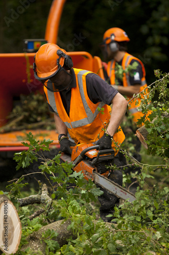 Chainsaw trimming