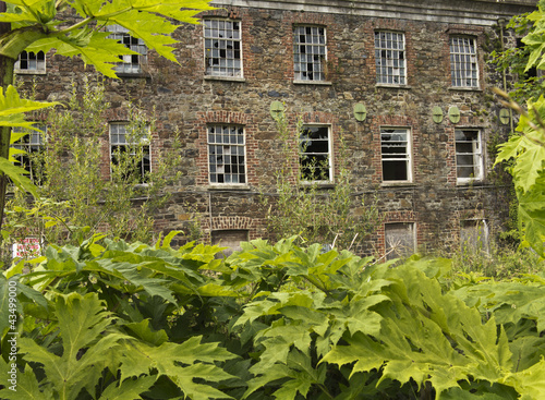 Φωτογραφία the old derelict building