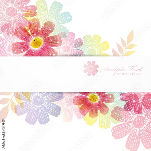 Wallpaper Mural cosmoses background Torontodigital.ca