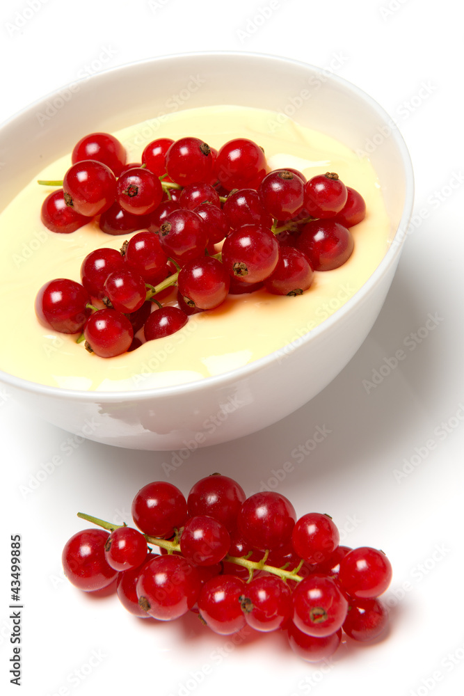 vanillecreme mit johannisbeeren vanillecreme mit johannisbeeren