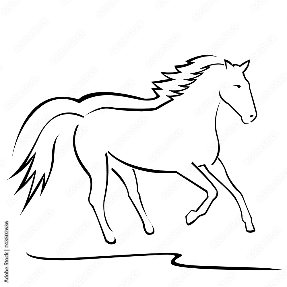 Obraz premium pferd outlines