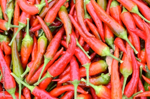 peperoncini piccanti