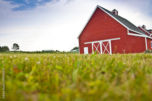 Red Barn in a Field photo