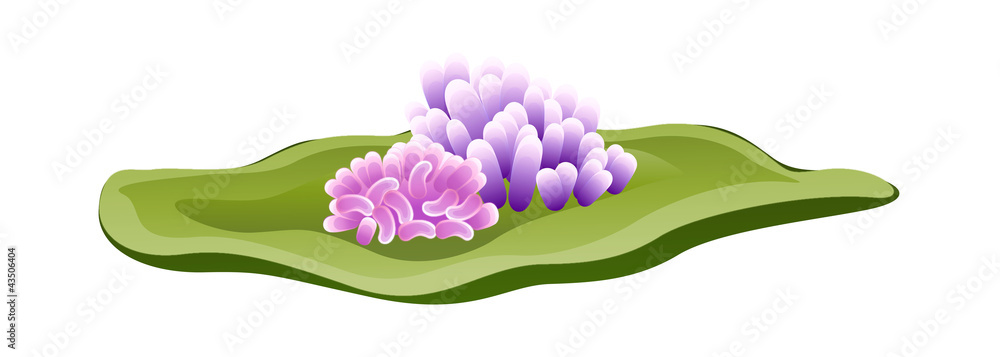 Naklejka premium vector icon coral