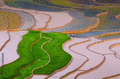 Tu Le Rice Terraces