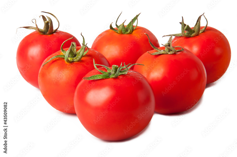 tomatoes tomatoes