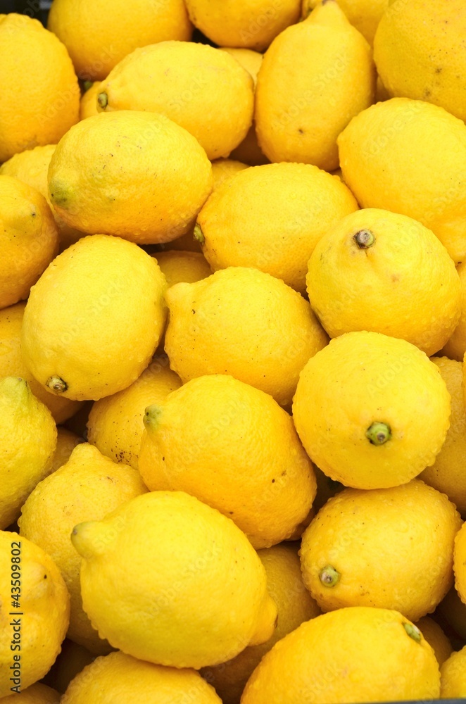 limoni limoni