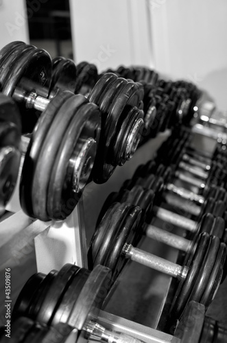 Weight training equipment in fitness club