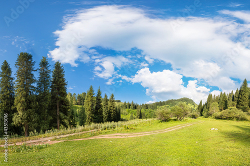panorama of the forest in Almaty, Kazakhstan, Medeo