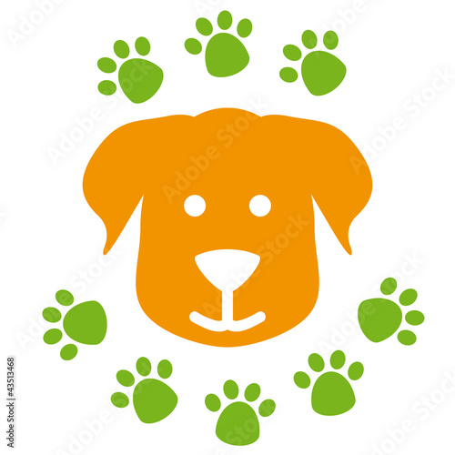 Hund und Pfotenabdrücke Hundeschule Gassi gehen
