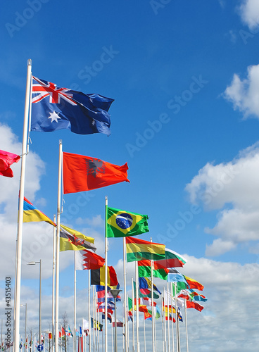 International flags on  waterfront of Rotterdam. Netherlands.