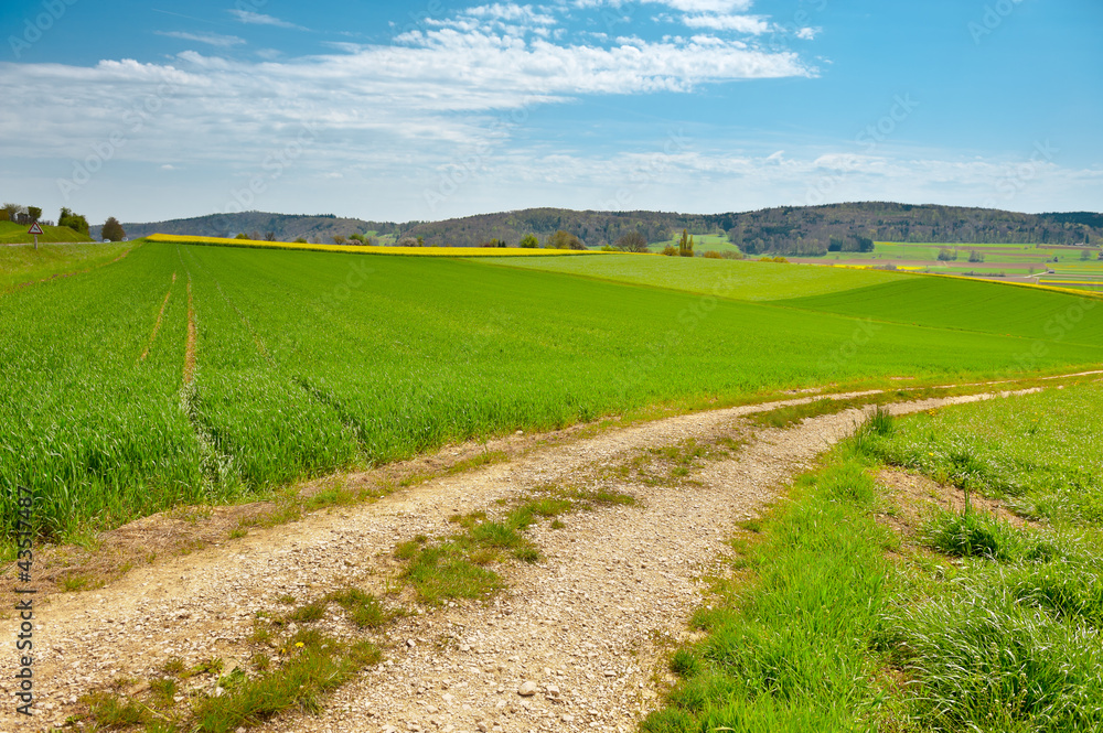 Green Fields