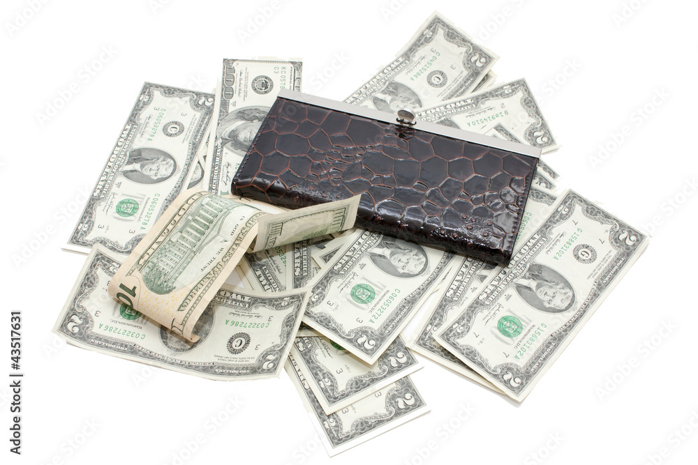 leather woman purse and american money leather woman purse and american money