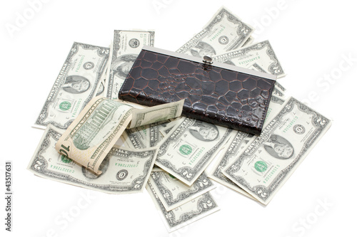 leather woman purse and american money