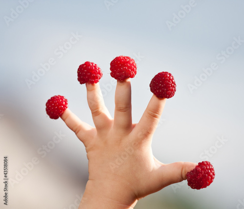 Little child's hand with raspberries