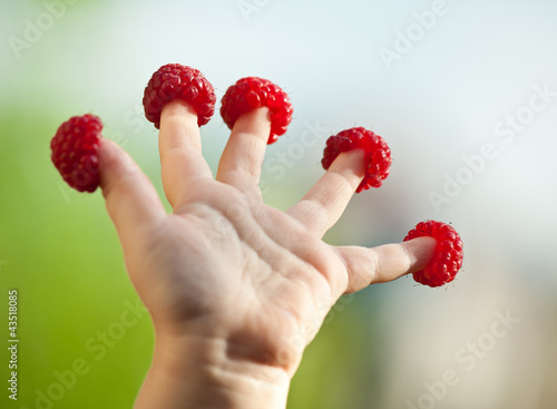 Little child's hand with raspberries