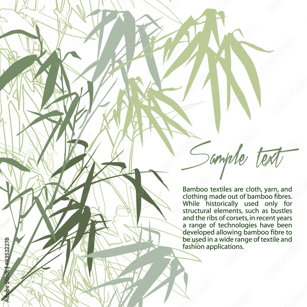 Bamboo. Floral background with copy space, vector illustration Bamboo. Floral background with copy space, vector illustration