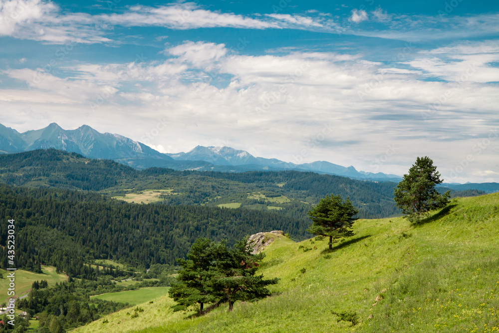 Beautifull view to Slovak landscape, Pieniny