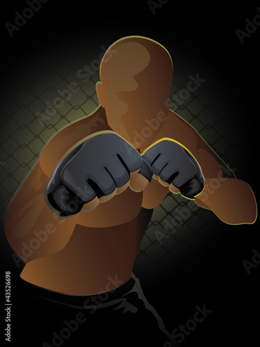 Ultimate Fighter/Mixed Martial Artist in a ready to brawl stance