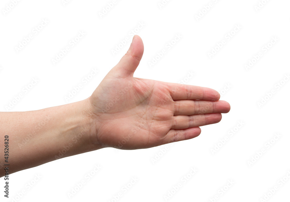 a woman's hand on a white background a woman's hand on a white background