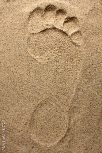 Footprint  feet