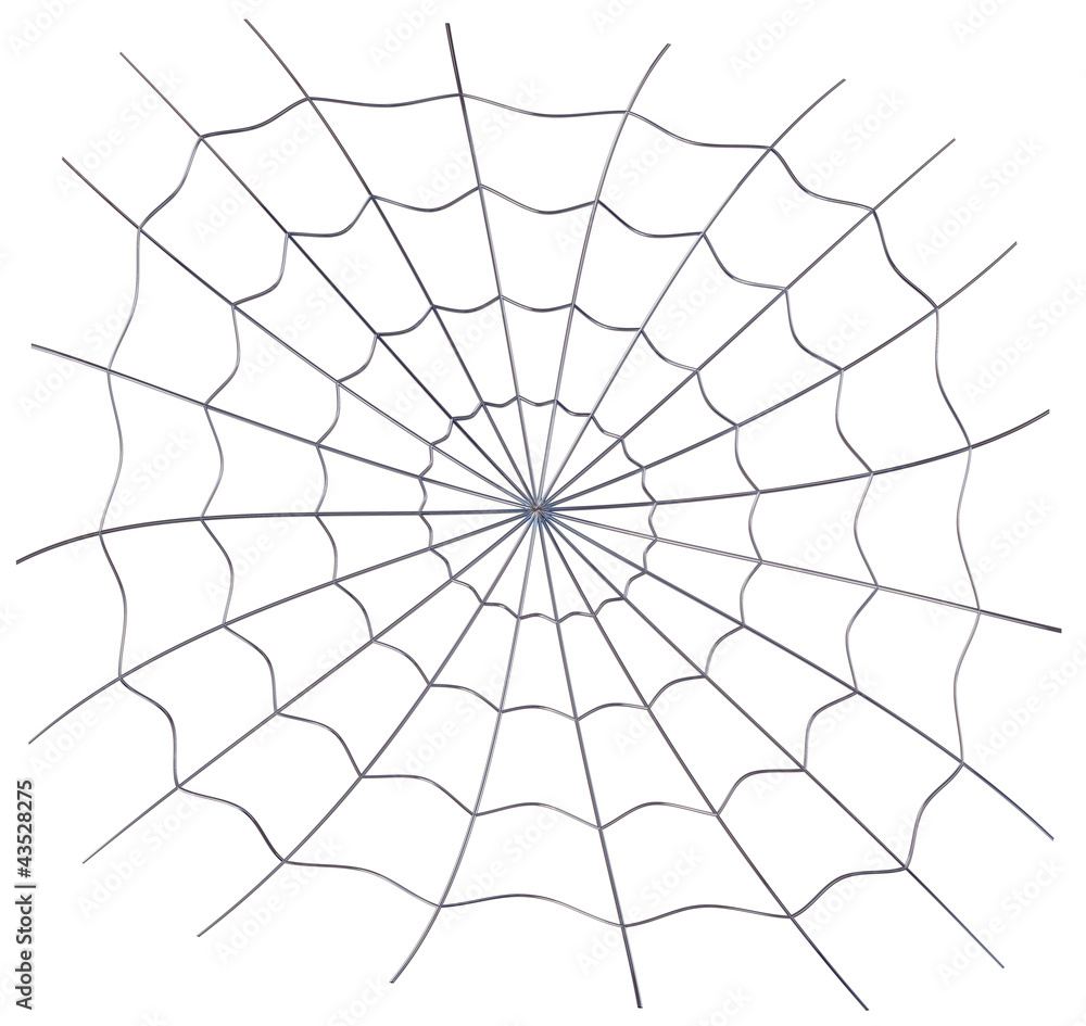 Obraz premium spiderweb