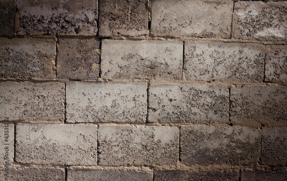 Obraz premium a brick wall as background