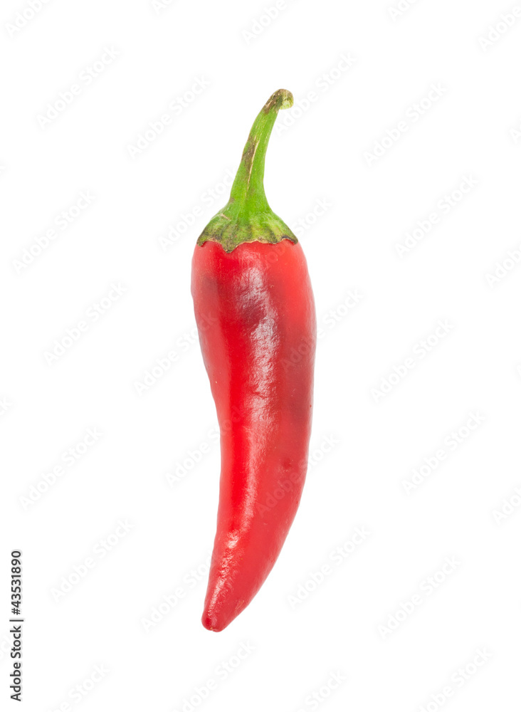 chili peppers on white background