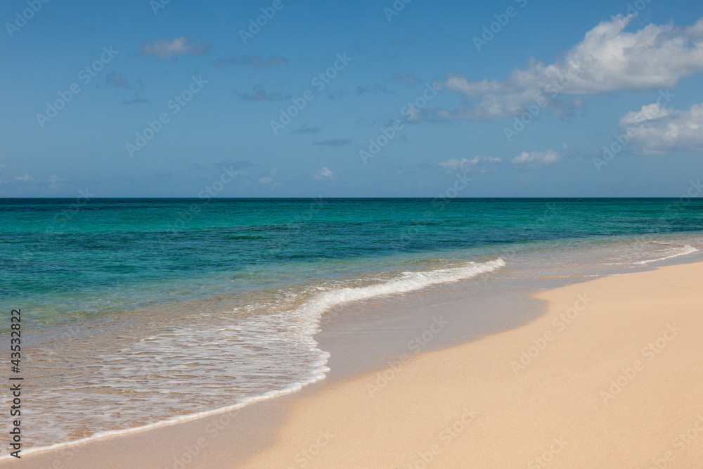 Beautiful Sandy Tropical Beach and Sunny Ocean Seascape