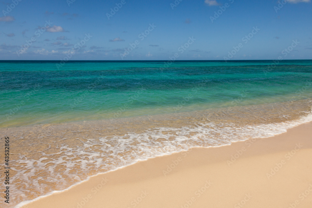Beautiful Sandy Tropical Beach and Sunny Ocean Seascape Beautiful Sandy Tropical Beach and Sunny Ocean Seascape