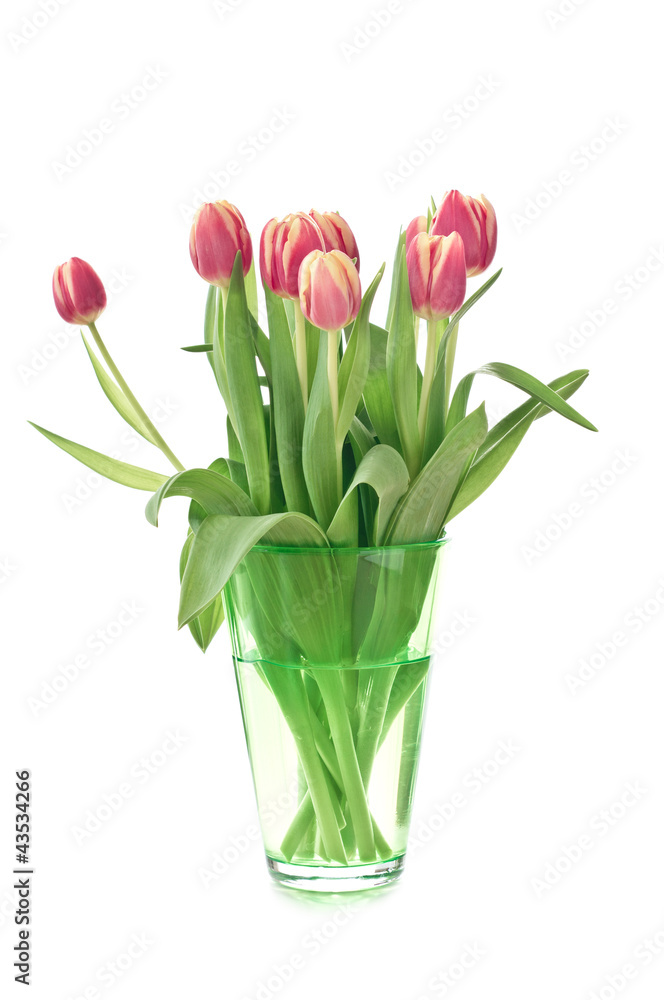 Tulips Tulips