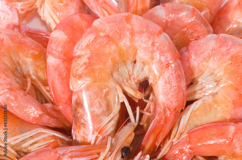 Raw prawns background Raw prawns background